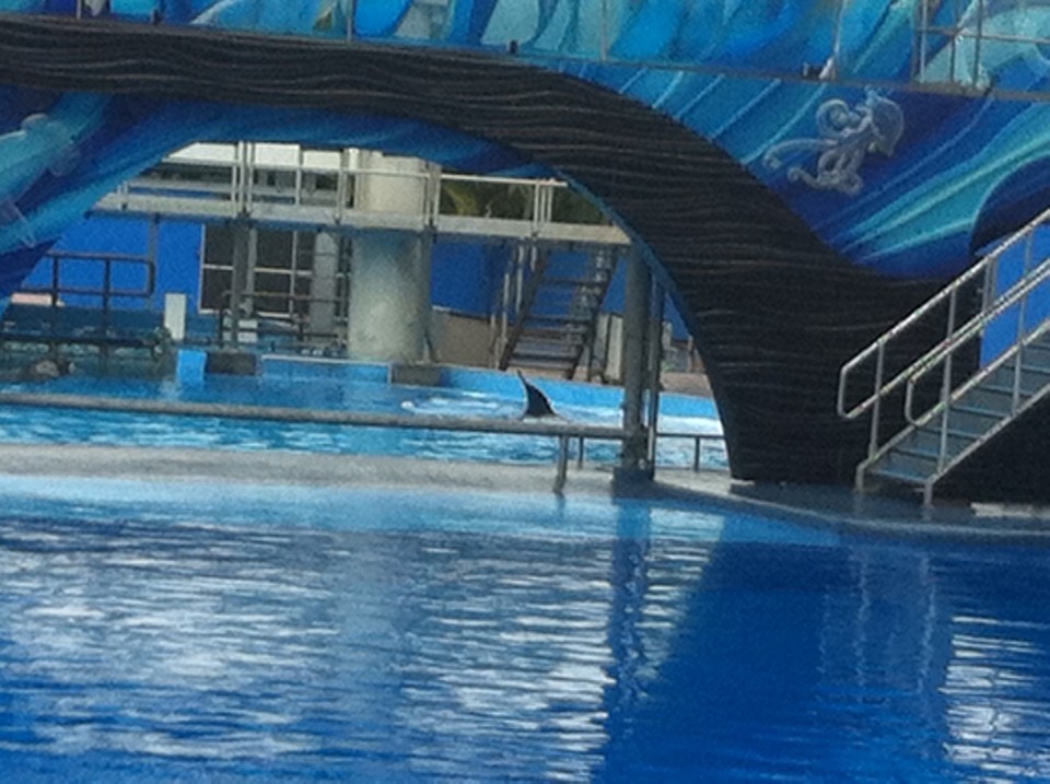 Egyesült Államok - Orlando - 