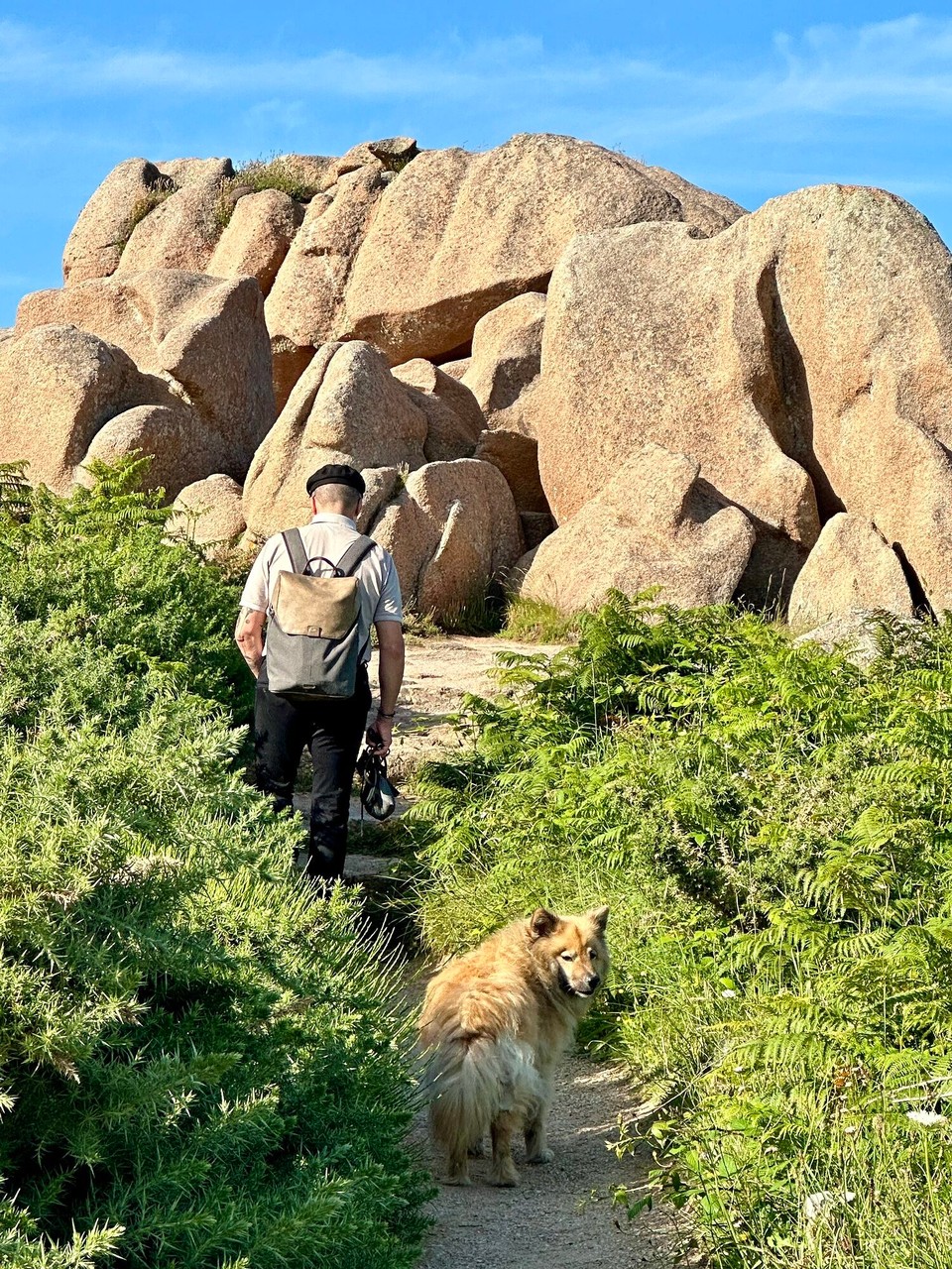 Frankreich - Perros-Guirec - 