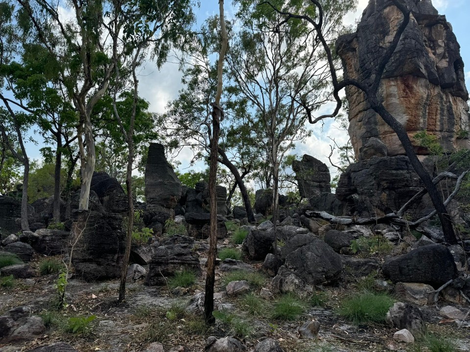 Australien - Litchfield Park - .... und Level 2