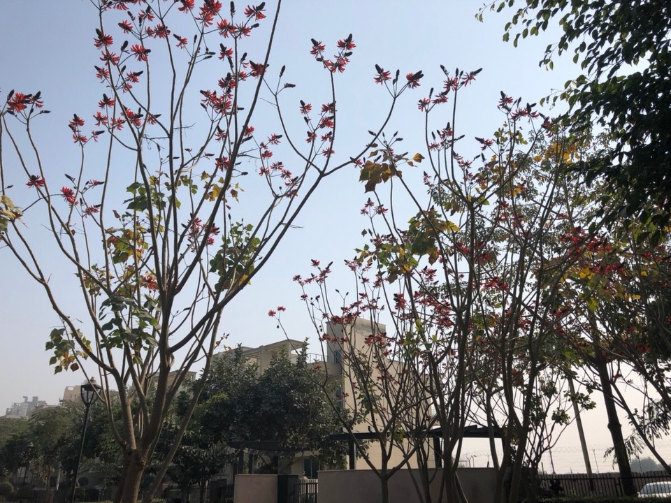 India - Gurugram - 
