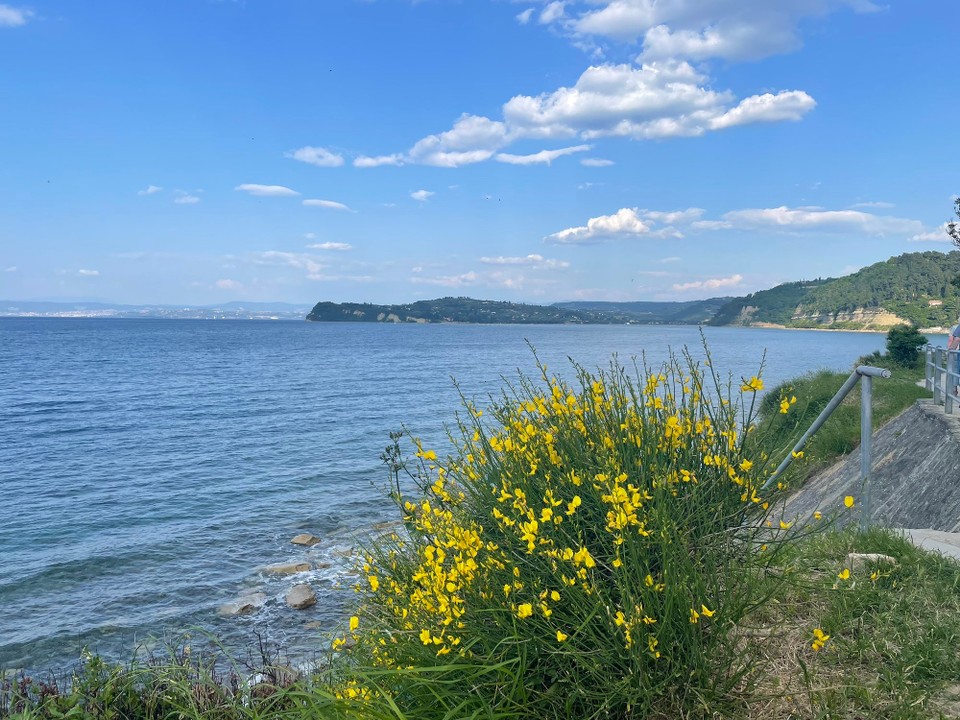 Slowenien - Piran - 