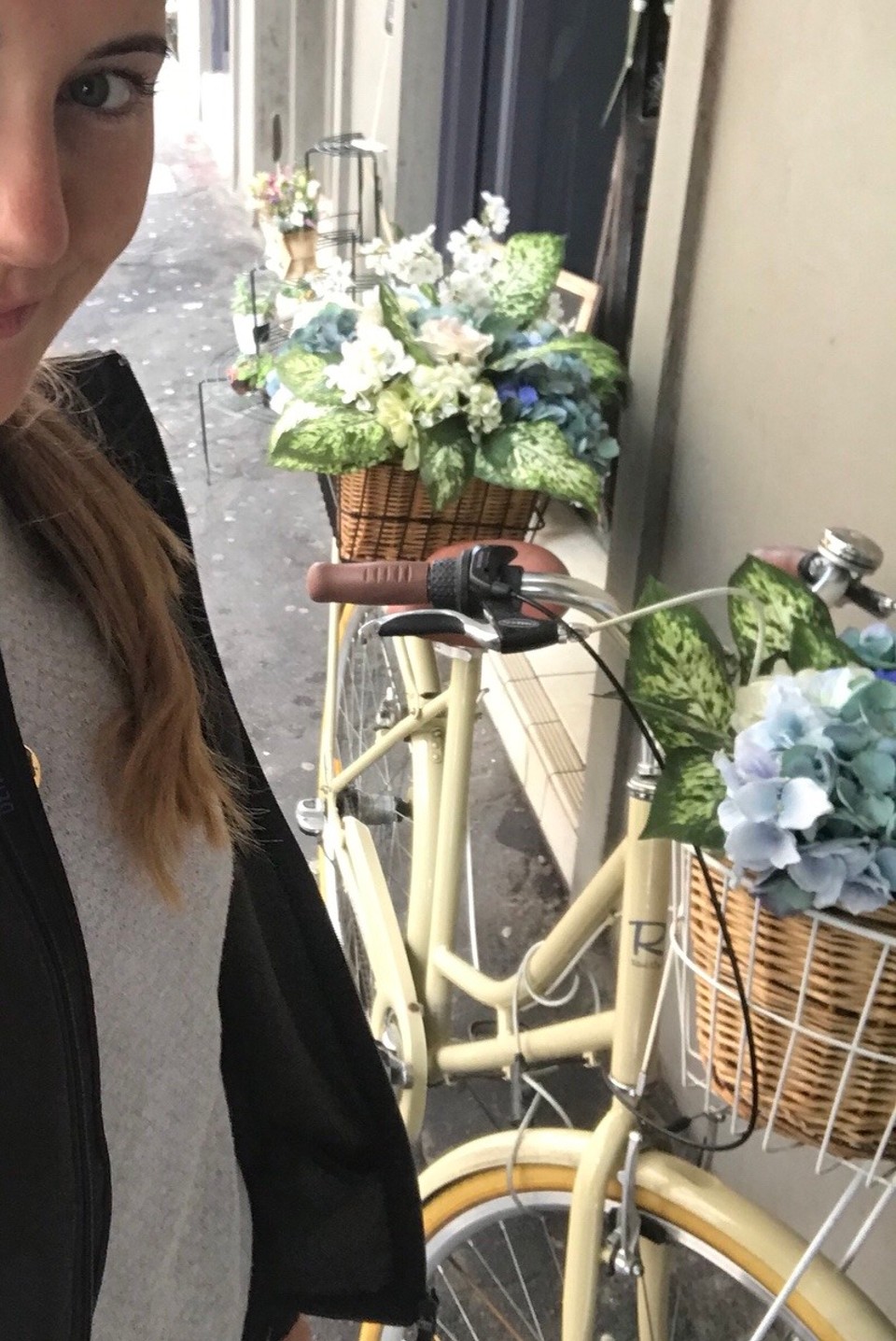 Australien - Paddington - I found my favourite flowers again.