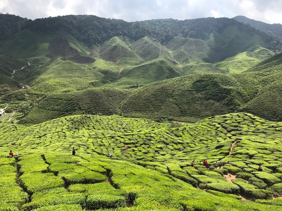 Malaysia - Bentong - 