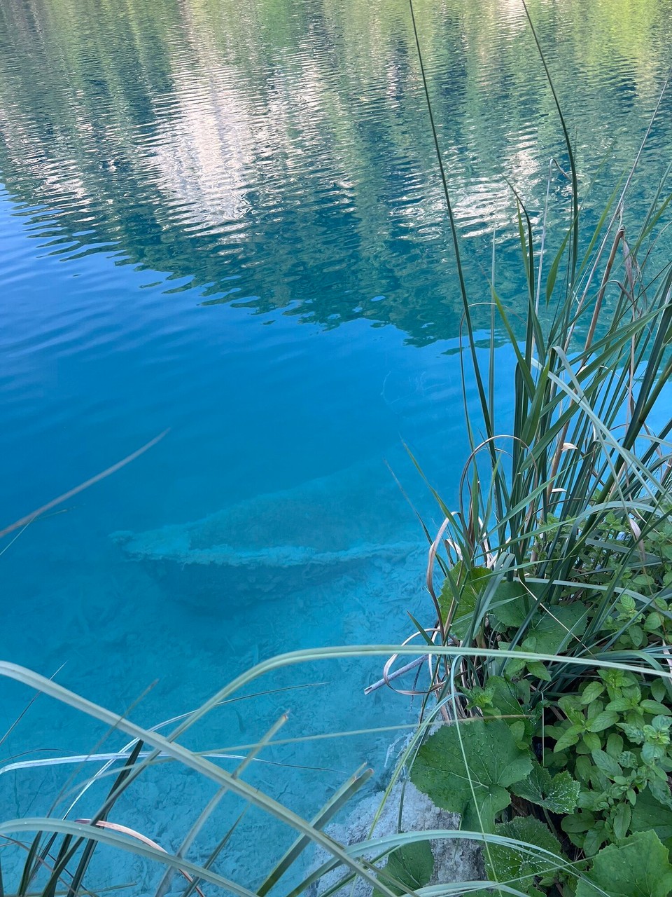 Kroatien - Plitvička Jezera - Ein versunkenes Boot 