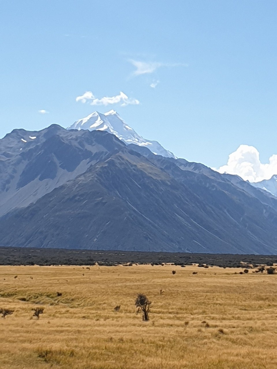 Neuseeland - Aoraki - Mount Cook