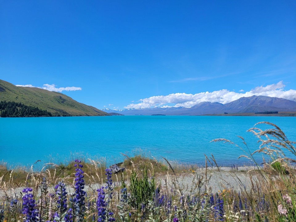 Neuseeland - Lake Tekapo - 