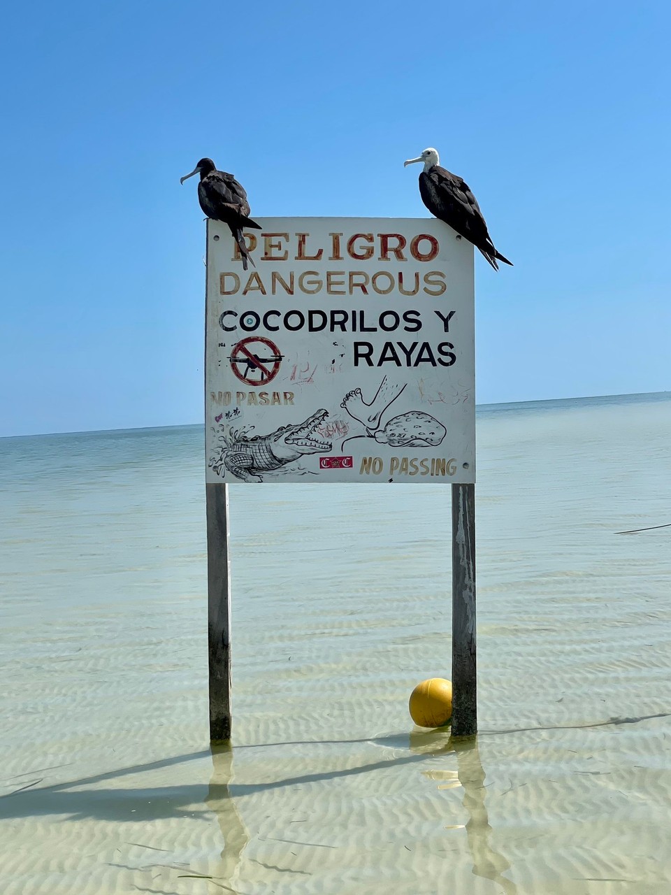 Mexiko - Isla Holbox - 