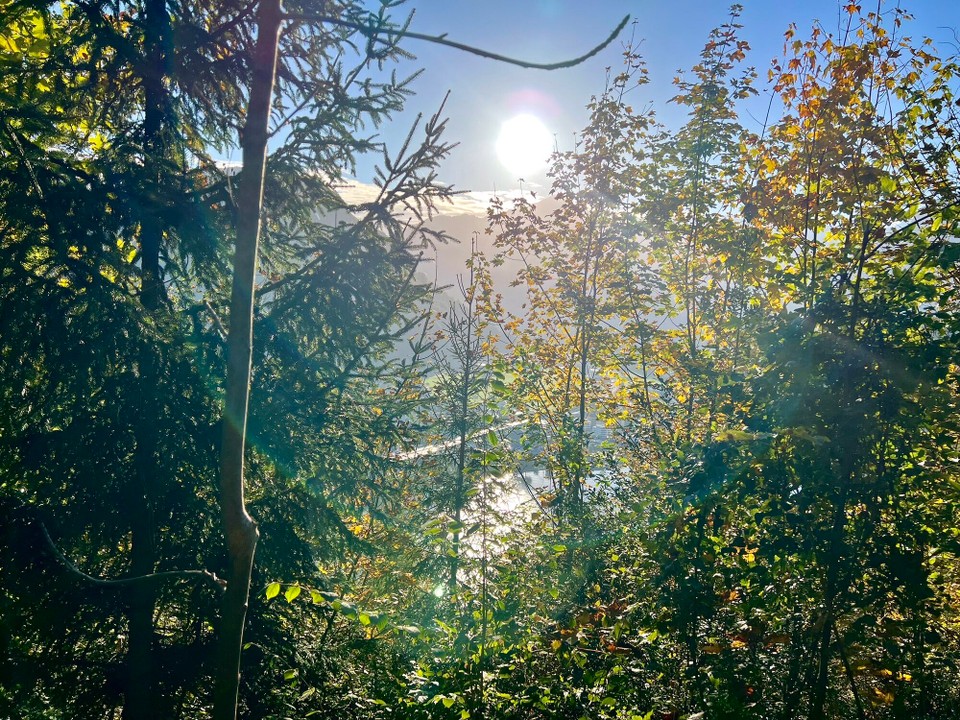 Schweiz - Alpnach Dorf - 