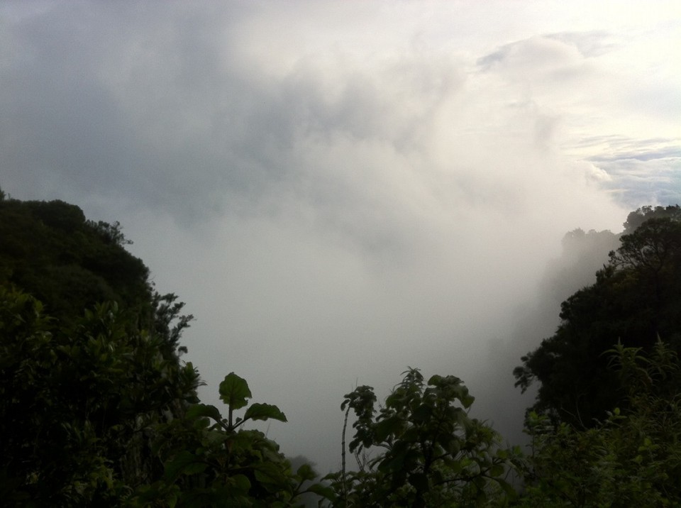 Südafrika - Sabie - God's Window, ohne Nebel könnte man kilometerweit bis in den Krüger Park blicken.... 