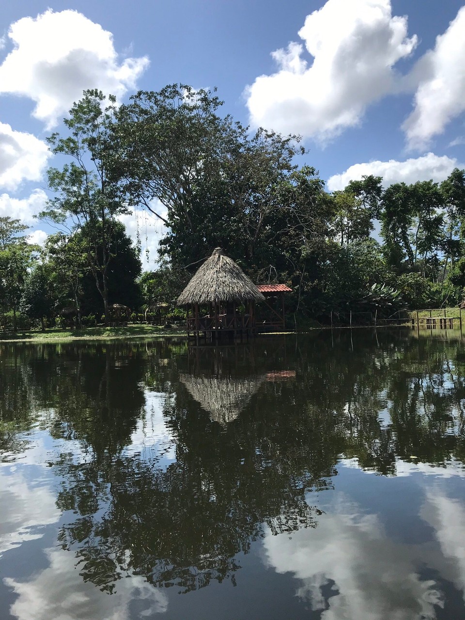 Costa Rica - San Carlos - 