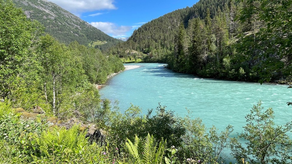 Norwegen - Fossbergom - 