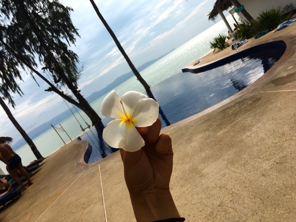 Thailand - Amphoe Ko Pha-ngan - Pool 🌺