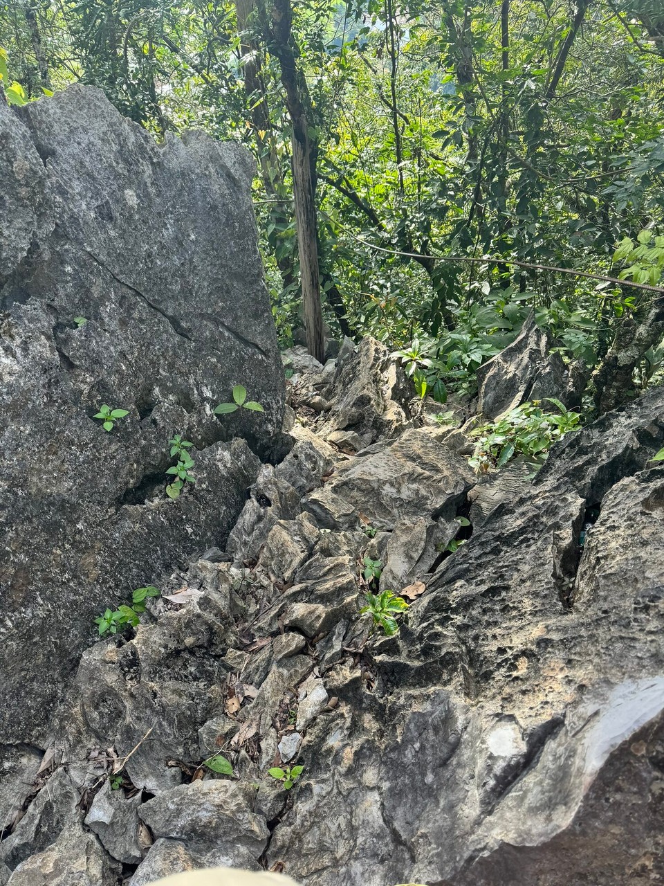 Laos - Vang Vieng - Der sehr steinige Weg zum Viewpoint. 