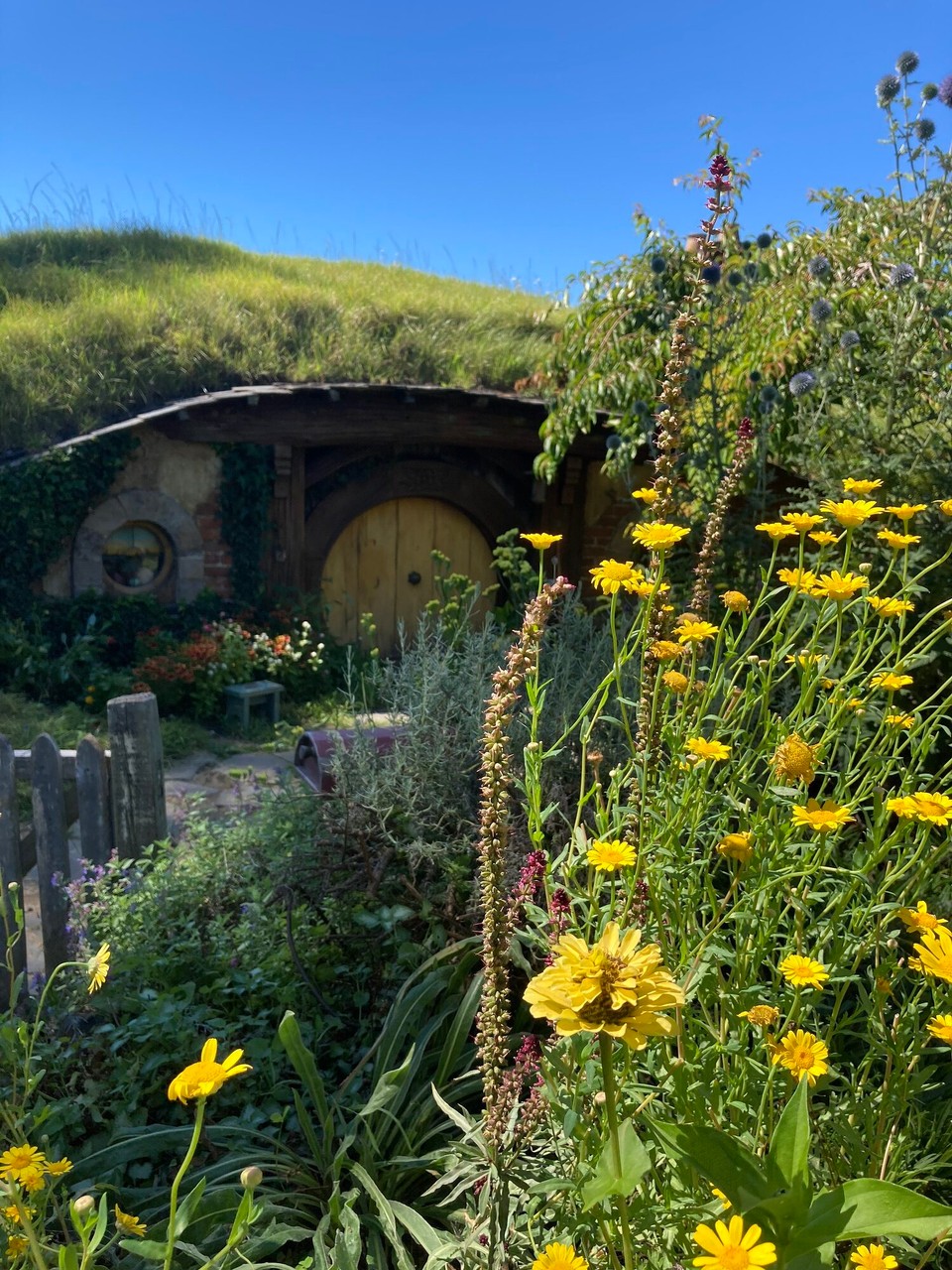 Neuseeland - Matamata - 