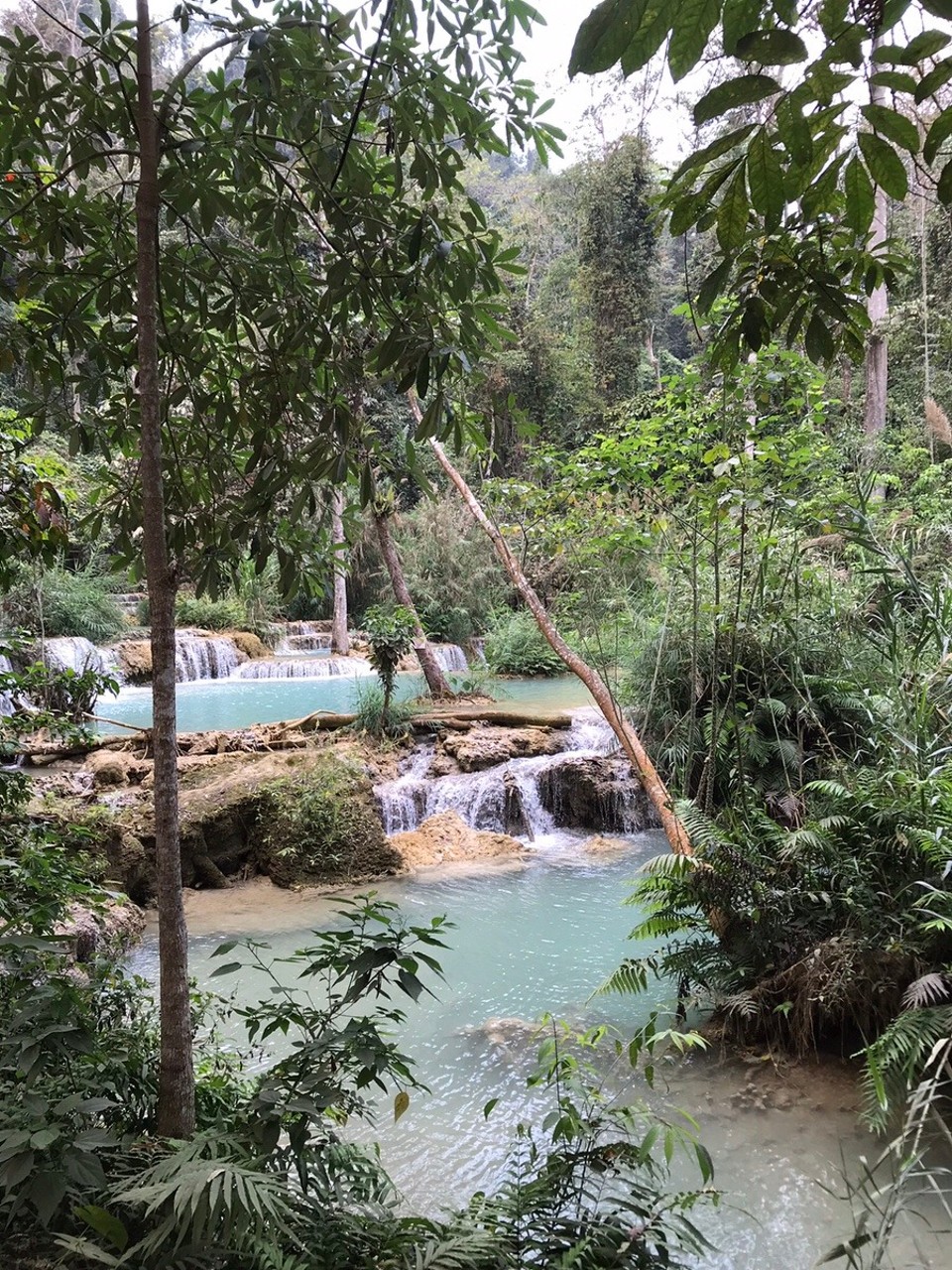 Laos - Luang Prabang - 