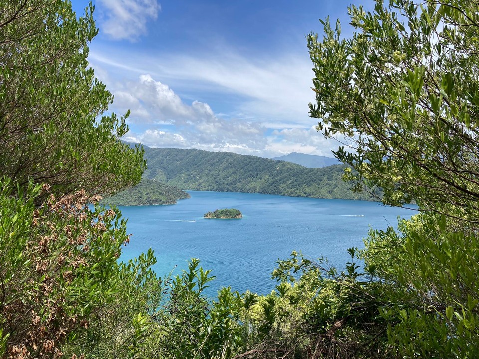 Neuseeland - Picton - 