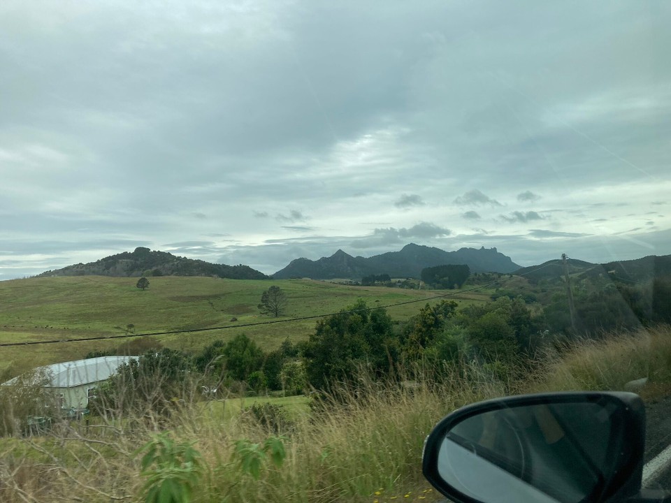 Neuseeland - Whangarei Heads - Ausblick auf den Gipfel 🤩