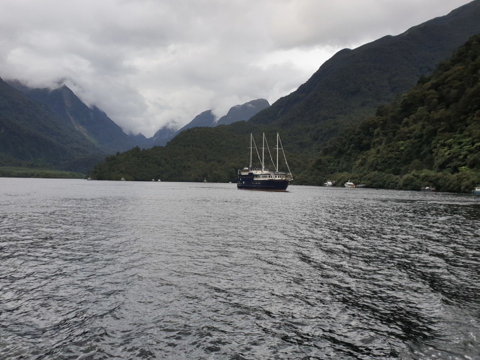 Neuseeland - Doubtful Sound - 