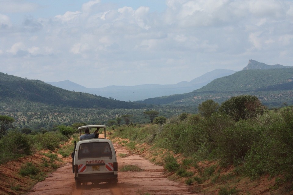 Kenia - Taita - 
