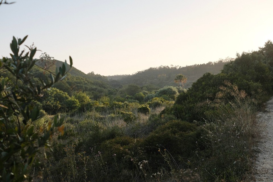 Portugal - Aljezur - 