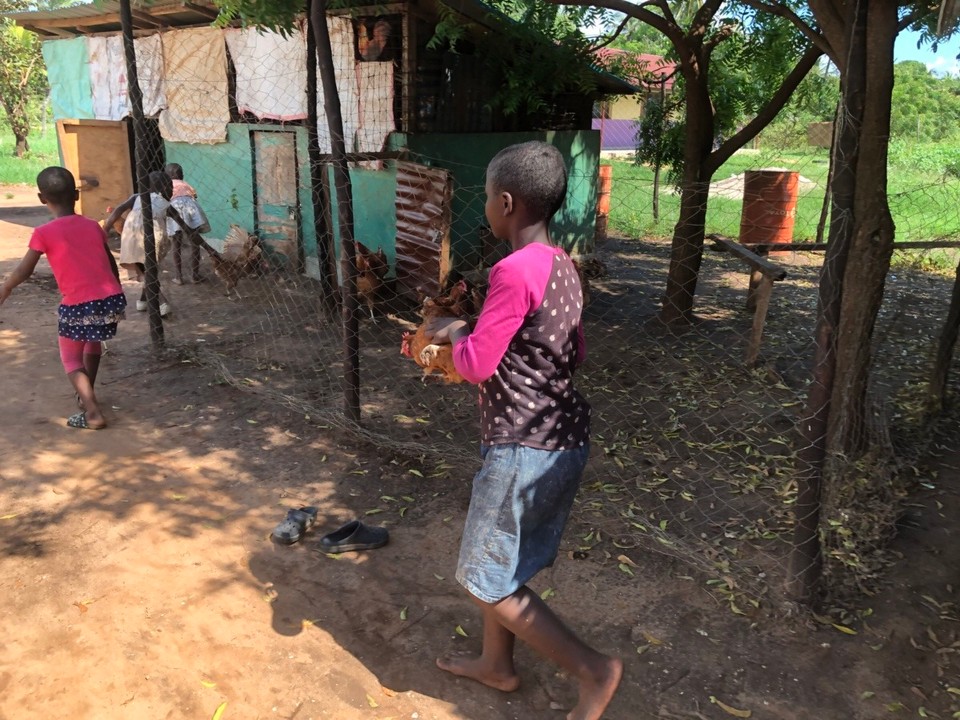 Kenia - Kwale - 