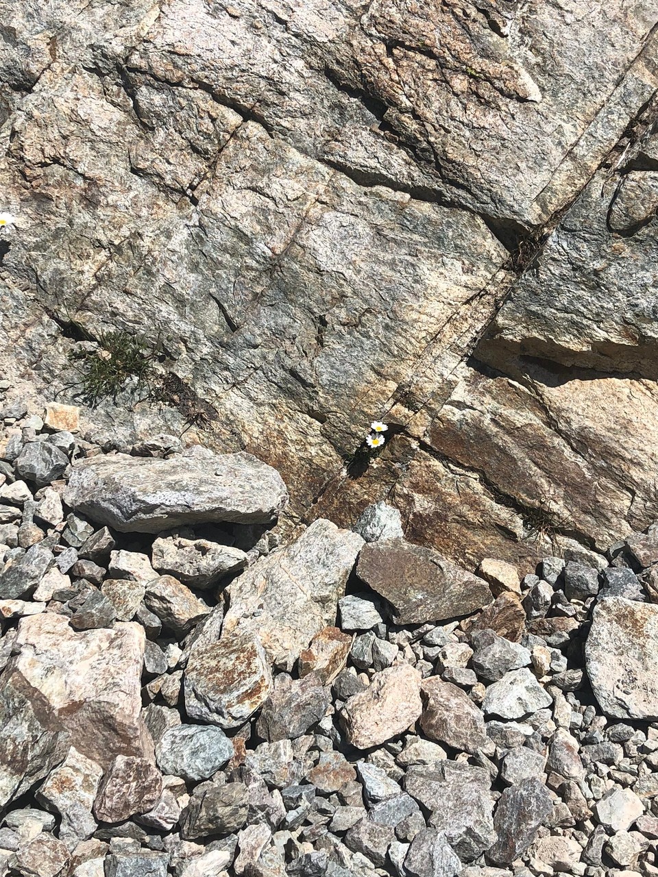 Schweiz - Pontresina - Geröll am Berg