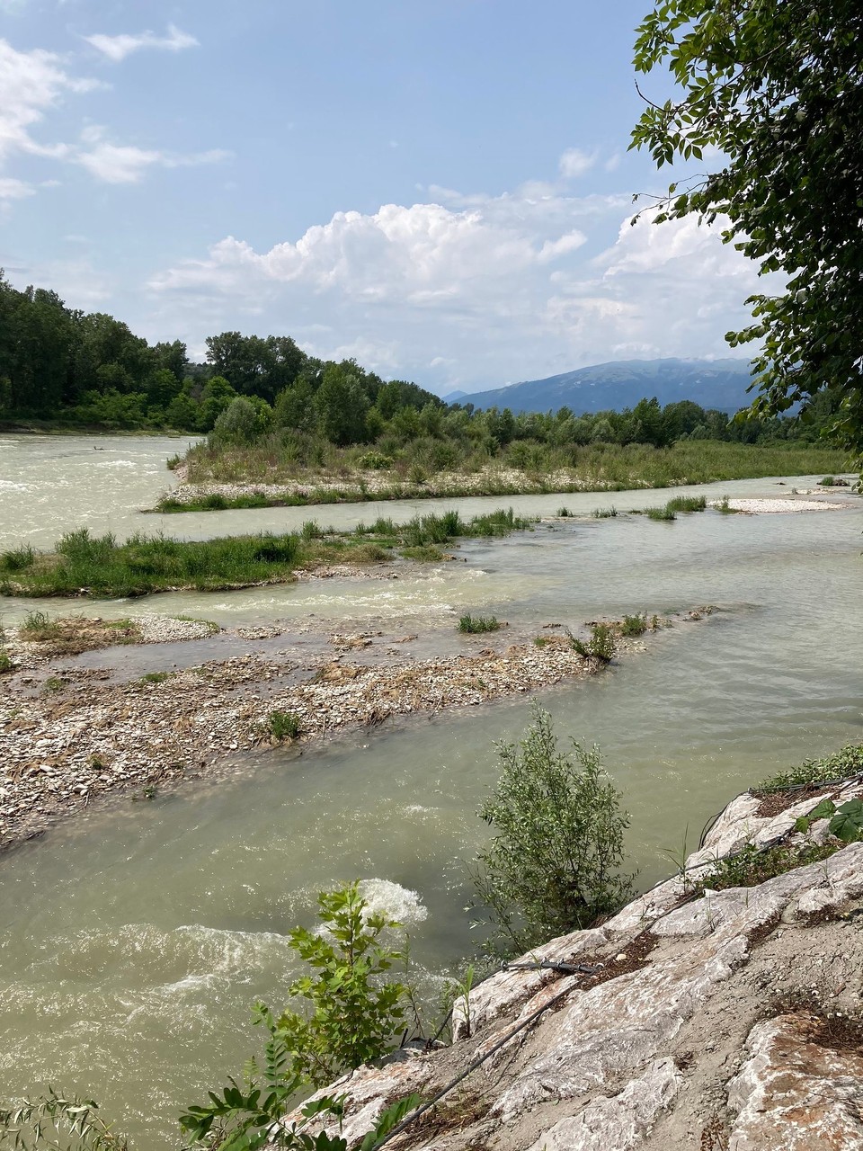 Italien - Susegana - Piave führt viel Wasser 