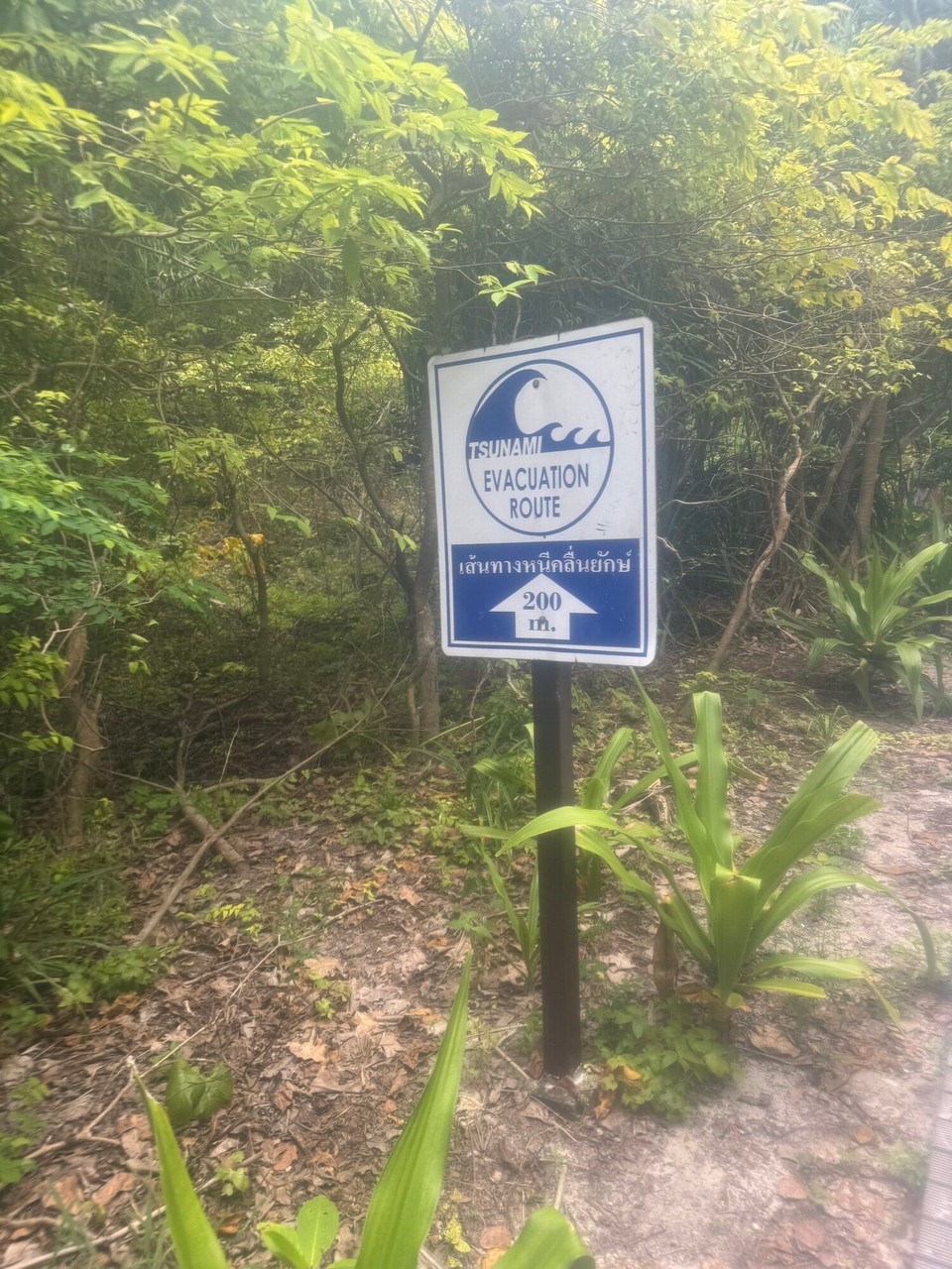 Thailand - Mueang Krabi - 