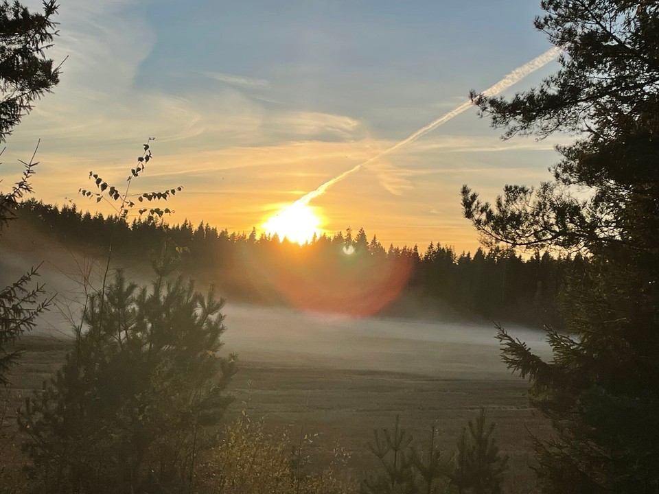 Finnland - Nousiainen - …und dann noch ein fantastischer Sonnenuntergang im Wald 