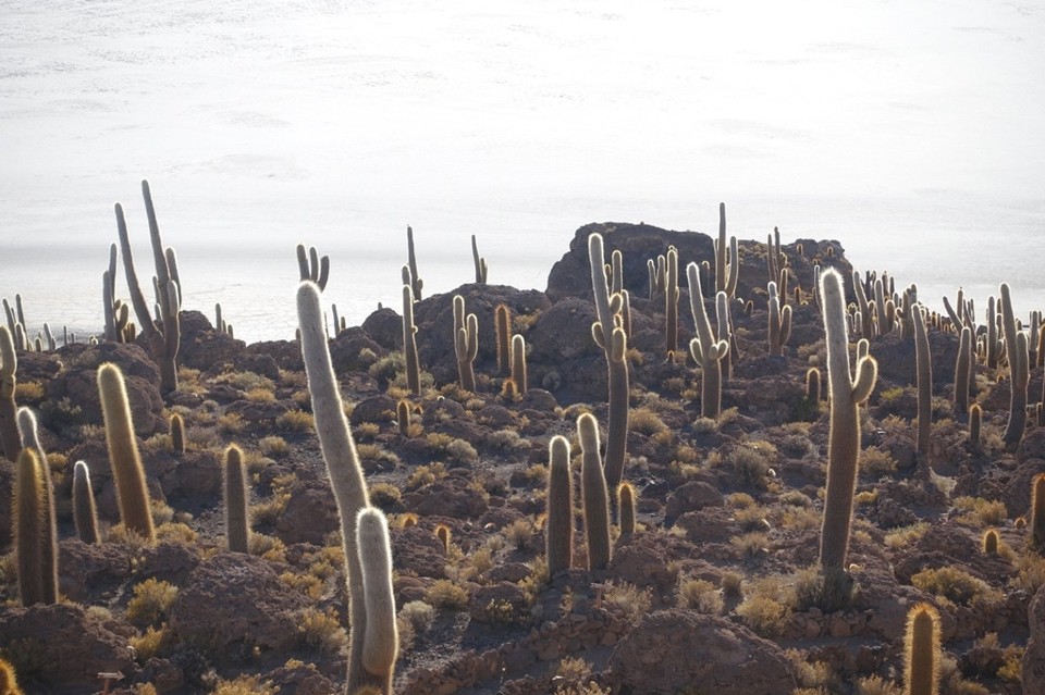 Bolivien - Salar de Uyuni - 