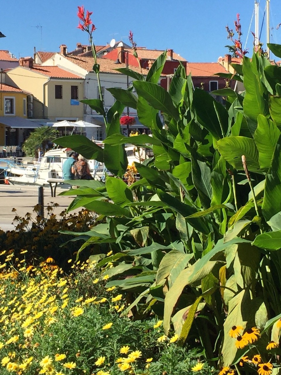 Kroatien - Novigrad - 