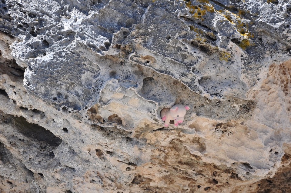 Australien - Rottnest Island - Schweinische Kletterpartie, gehört zum Training