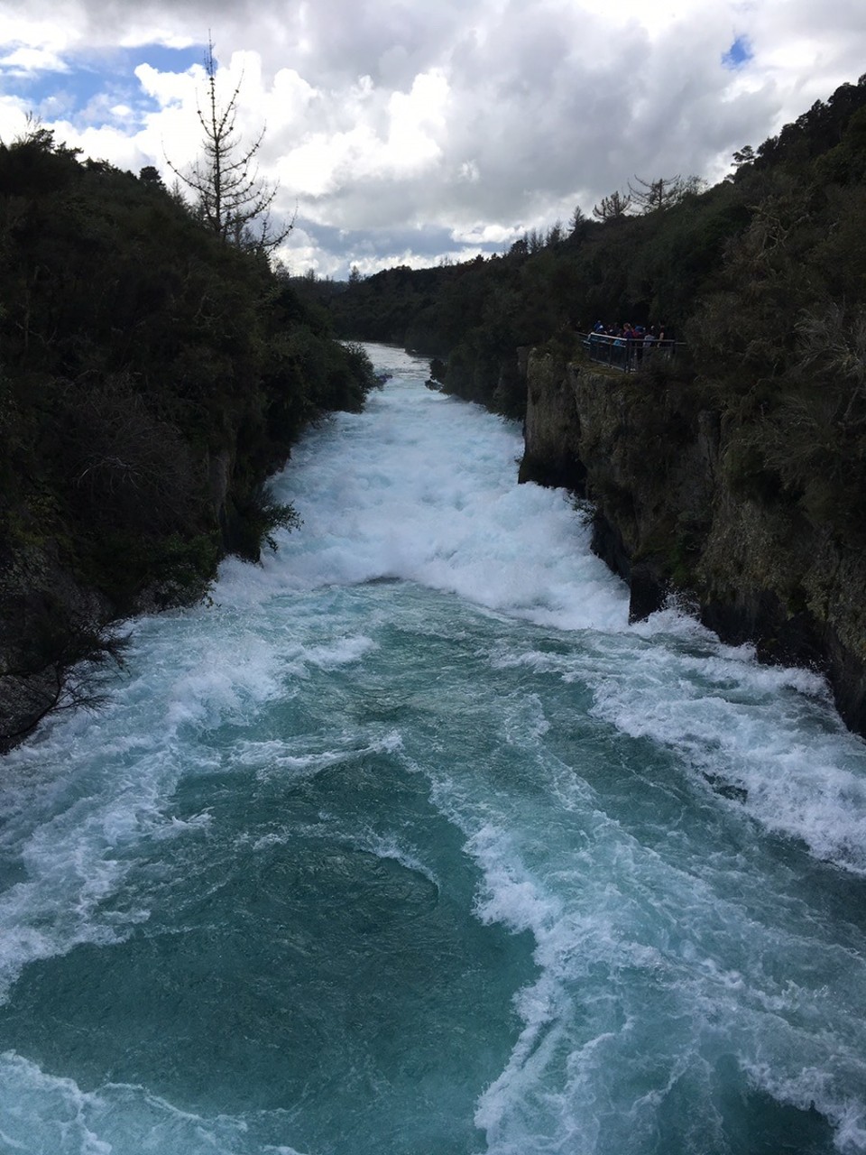 Neuseeland - Taupo - Hauka falls 
