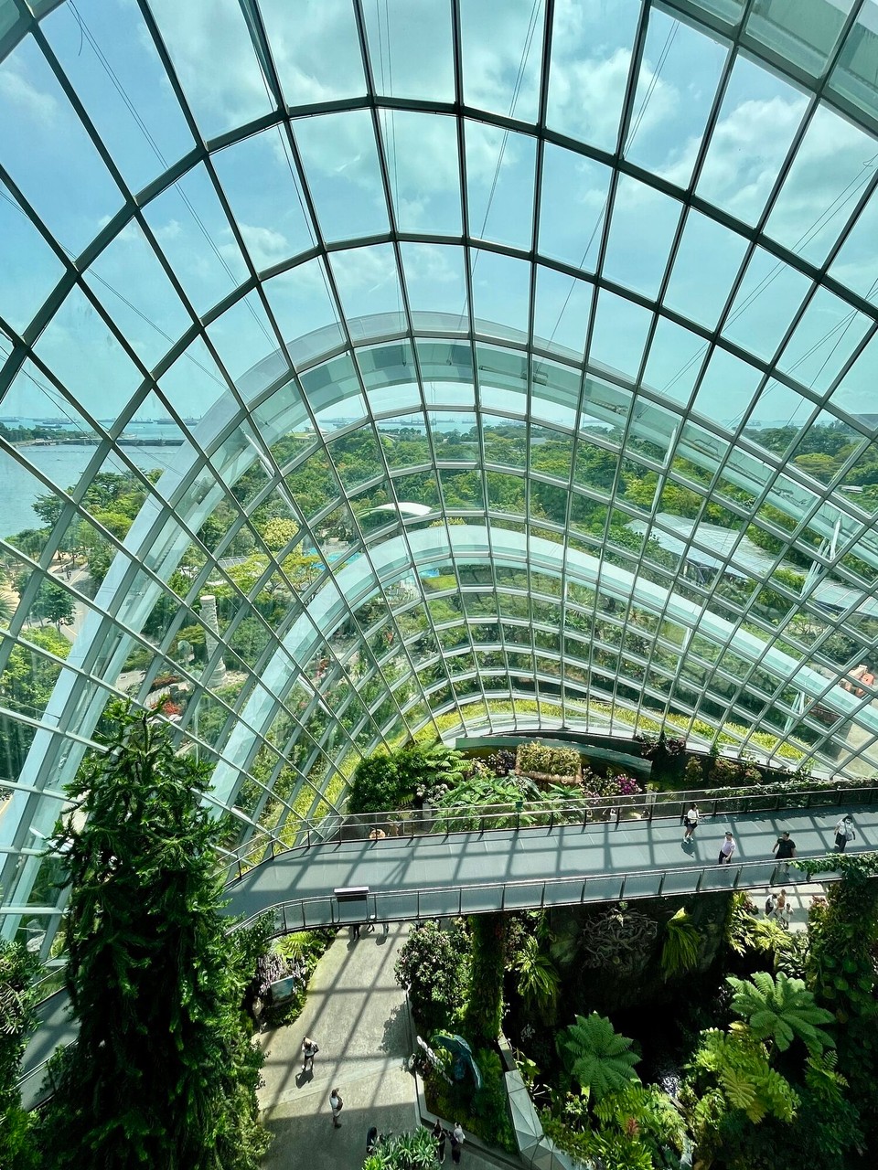 Singapur - Singapur - 