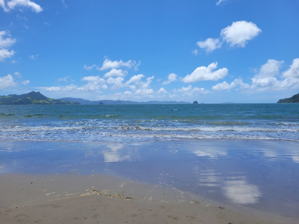 Neuseeland - Cooks Beach - 