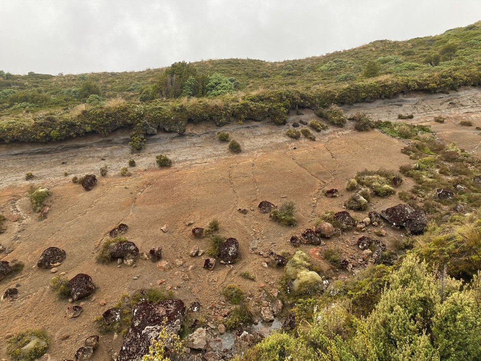 Neuseeland - Tongariro National Park - 