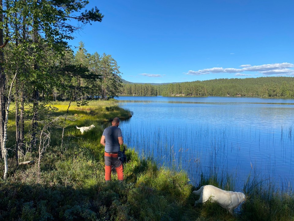 Norwegen - Gransherad - 