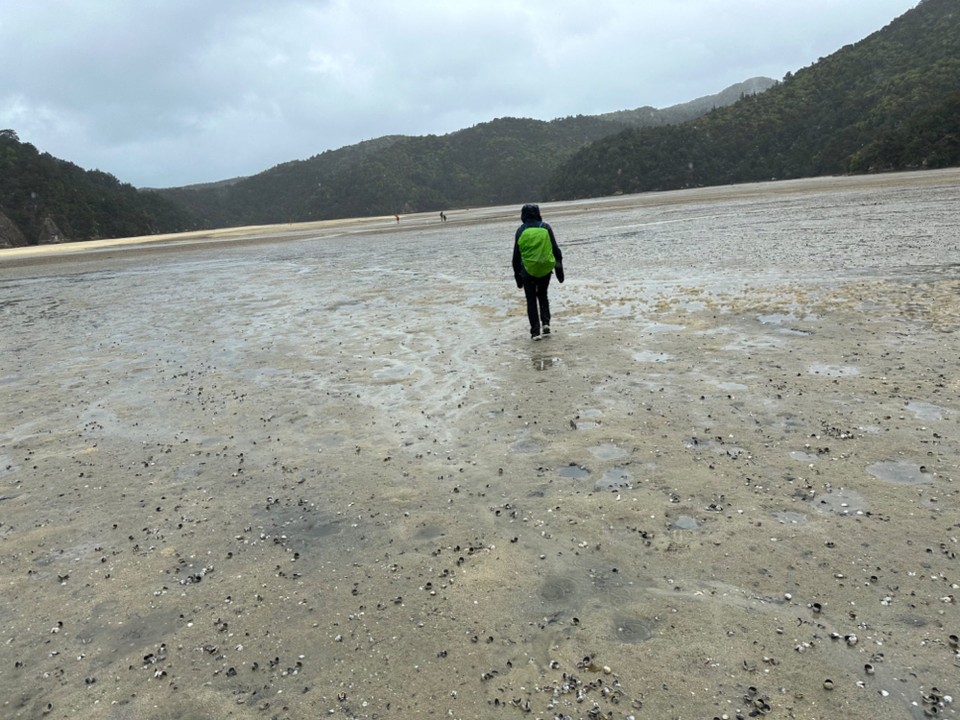 Neuseeland - Abel Tasman National Park - Nur leider hat uns niemand gesagt, dass wir einen Fluss durchqueren dürften. Aber Kneipen ist ja gut für die Gesundheit.
