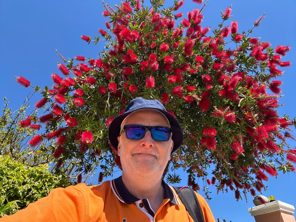 Italien - Baunei - Ein neuer Hut und eine neue Sonnenbrille und Blumen, die wie Flaschenbürsten aussehen.