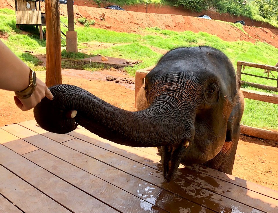 Thailand - Chiang Mai - 