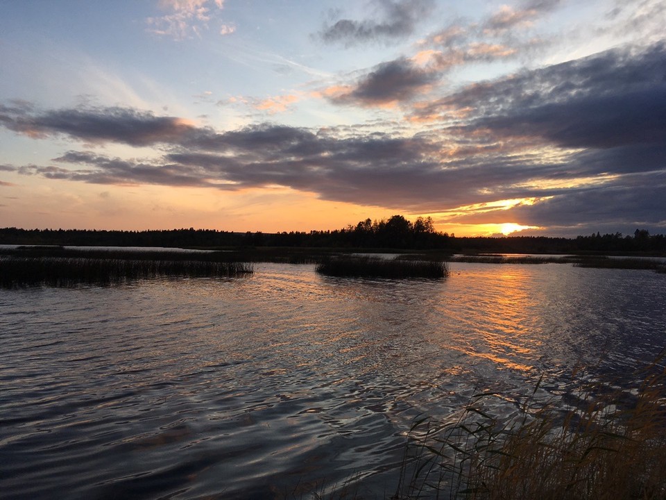  - Schweden, Bottnischer Meerbusen im Sonnenuntergang - 