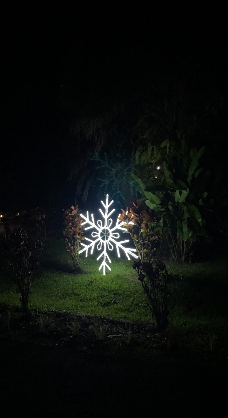 Costa Rica - San Carlos - In der Hotelanlage wird bereits für erste Weihnachtsstimmung gesorgt - bei knapp 30 Grad kann man damit nie früh genug anfangen ❄️ 😛 