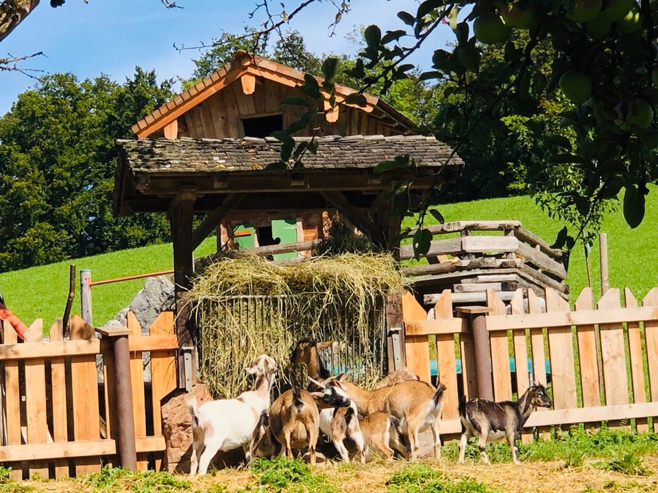 Deutschland - Berchtesgaden - Berchtesgarden 