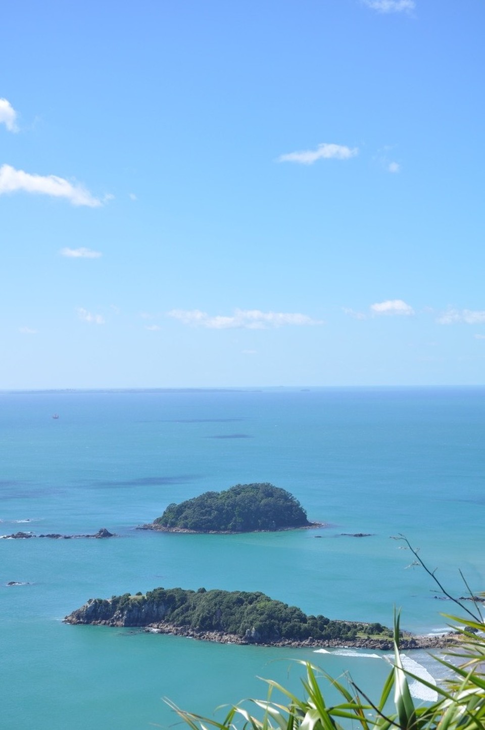 Neuseeland - Papamoa - Schwimmt da unten ein Krokodil? 