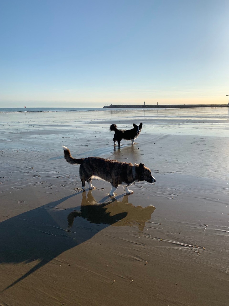 Frankreich - Calais - 