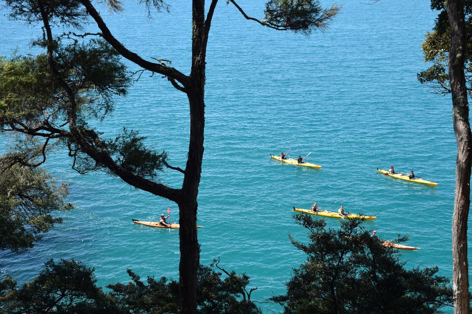 Neuseeland - Abel-Tasman-Nationalpark - Viele sind hier mit Kajaks unterwegs