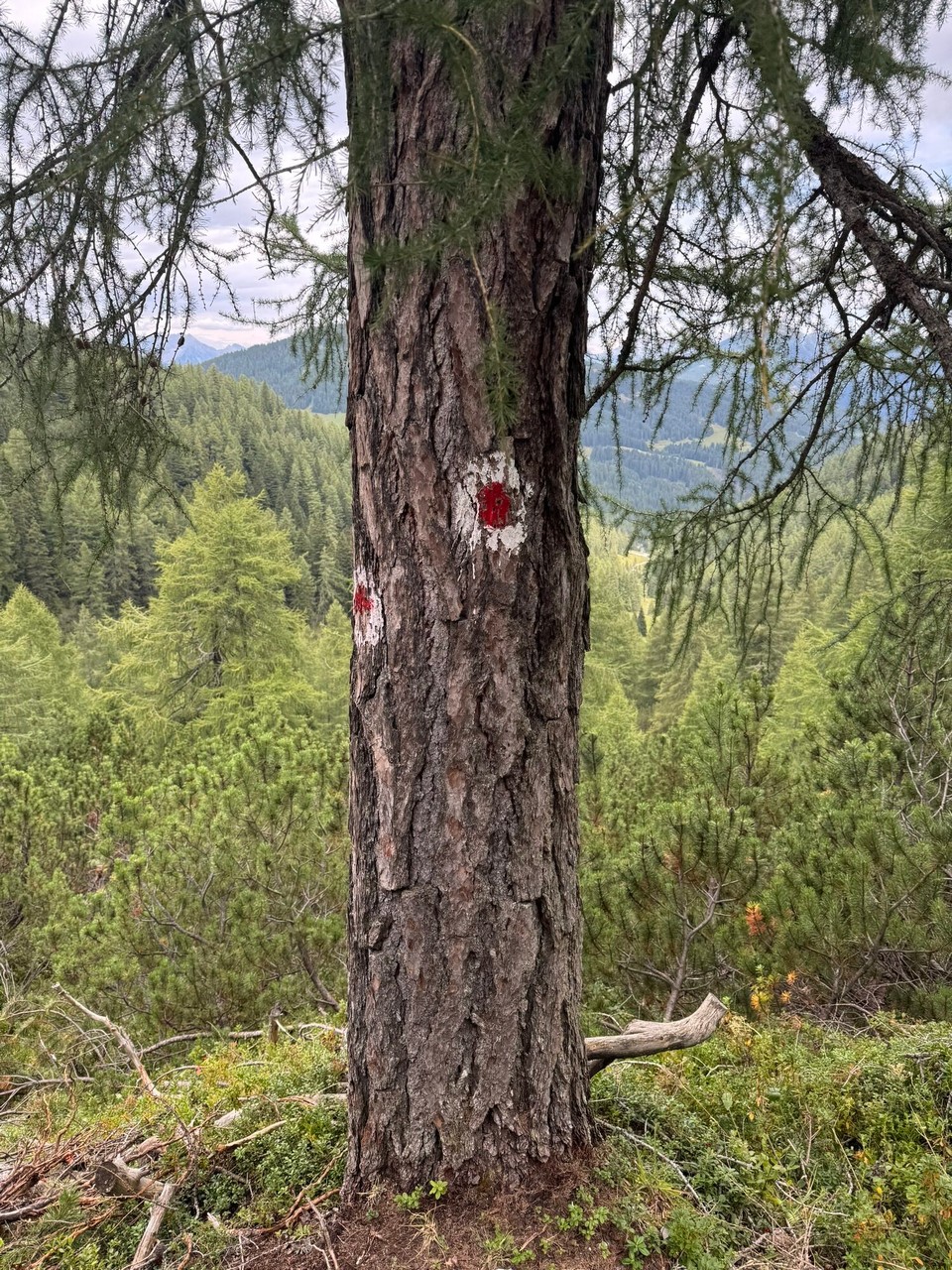 Österreich - Mühlbachl - 