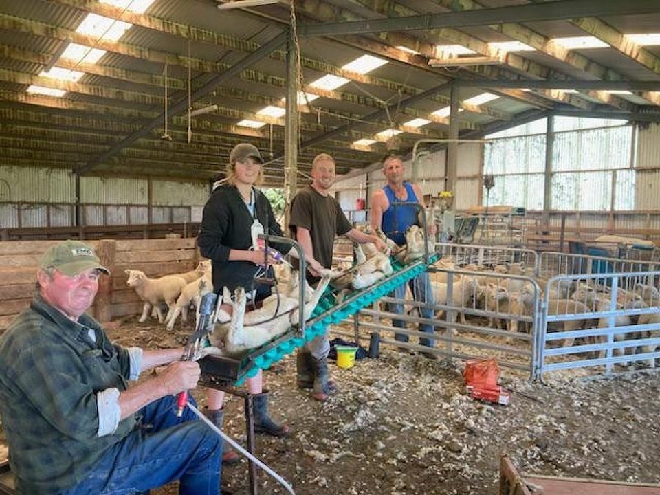 Neuseeland - Gore - Tailing Team: Ross, Sarah, Lochi und Howie