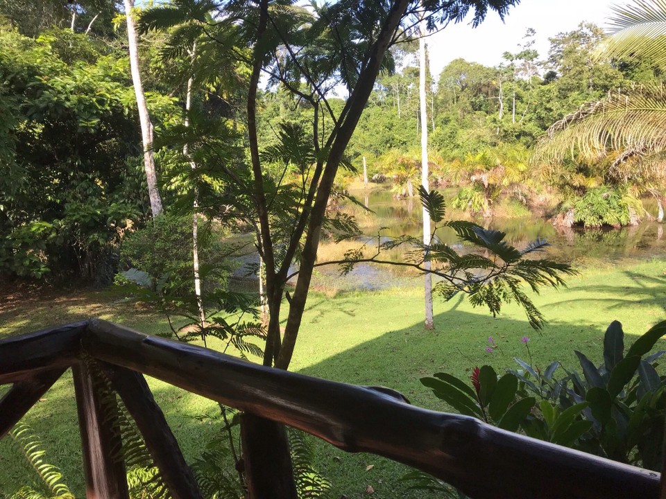 Costa Rica - San Carlos - 