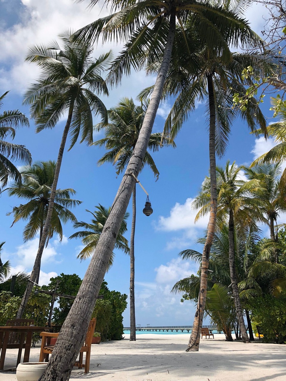 Maldives -  - 